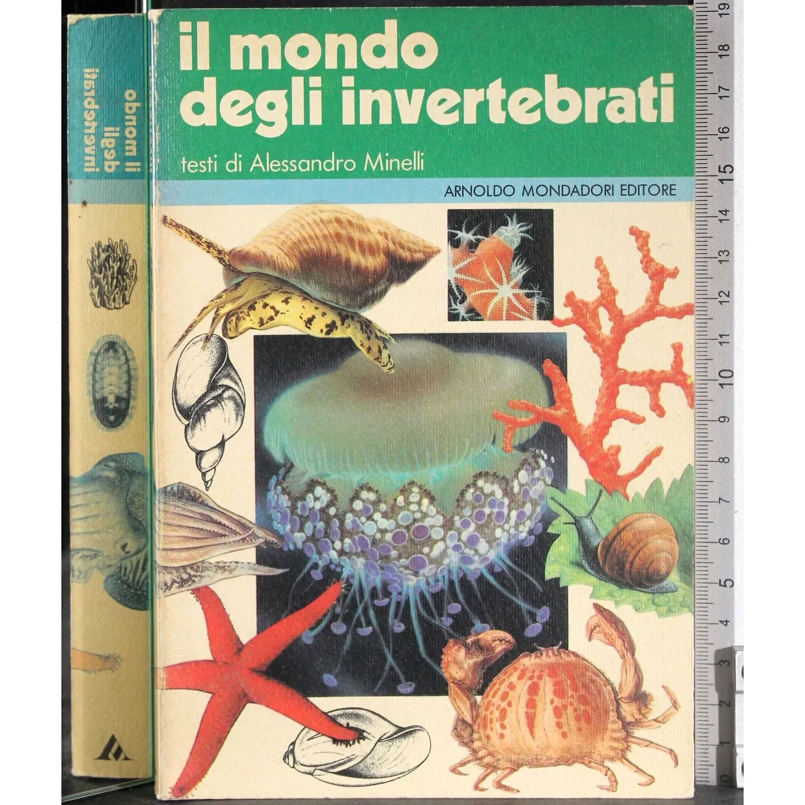Il mondo degli invertebrati