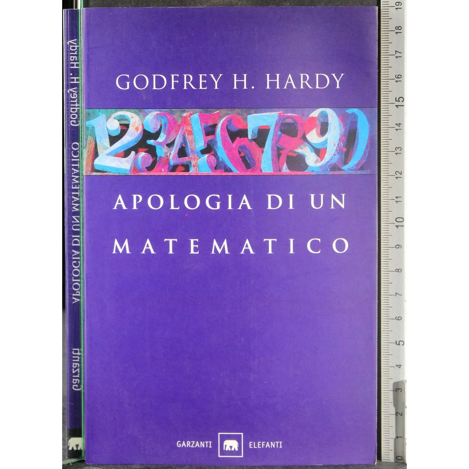 Apologia di un matematico