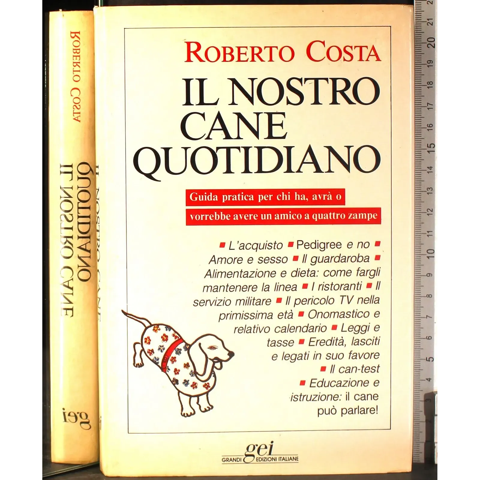 Il nostro cane quotidiano