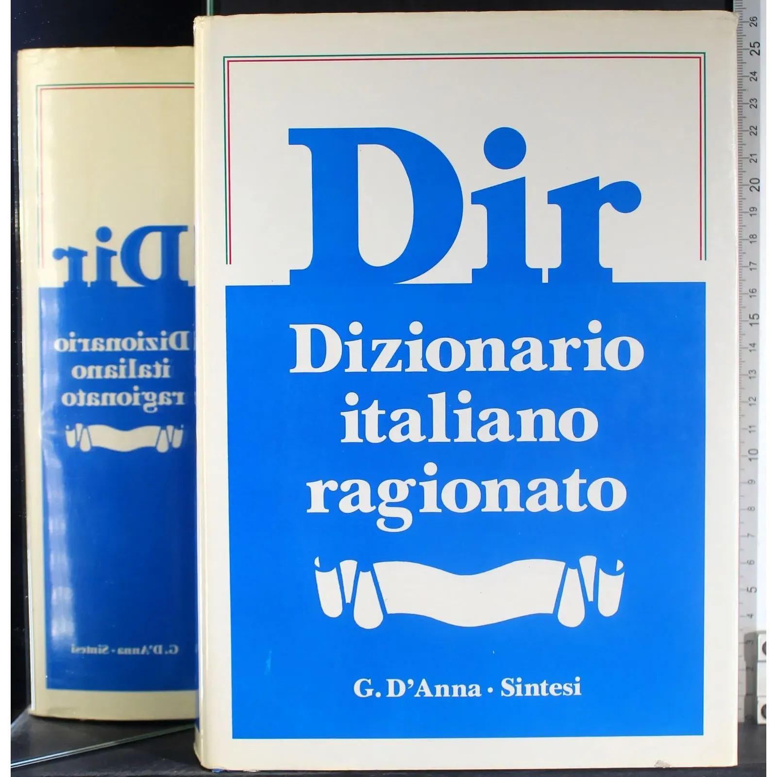 DIR. Dizionario italiano ragionato