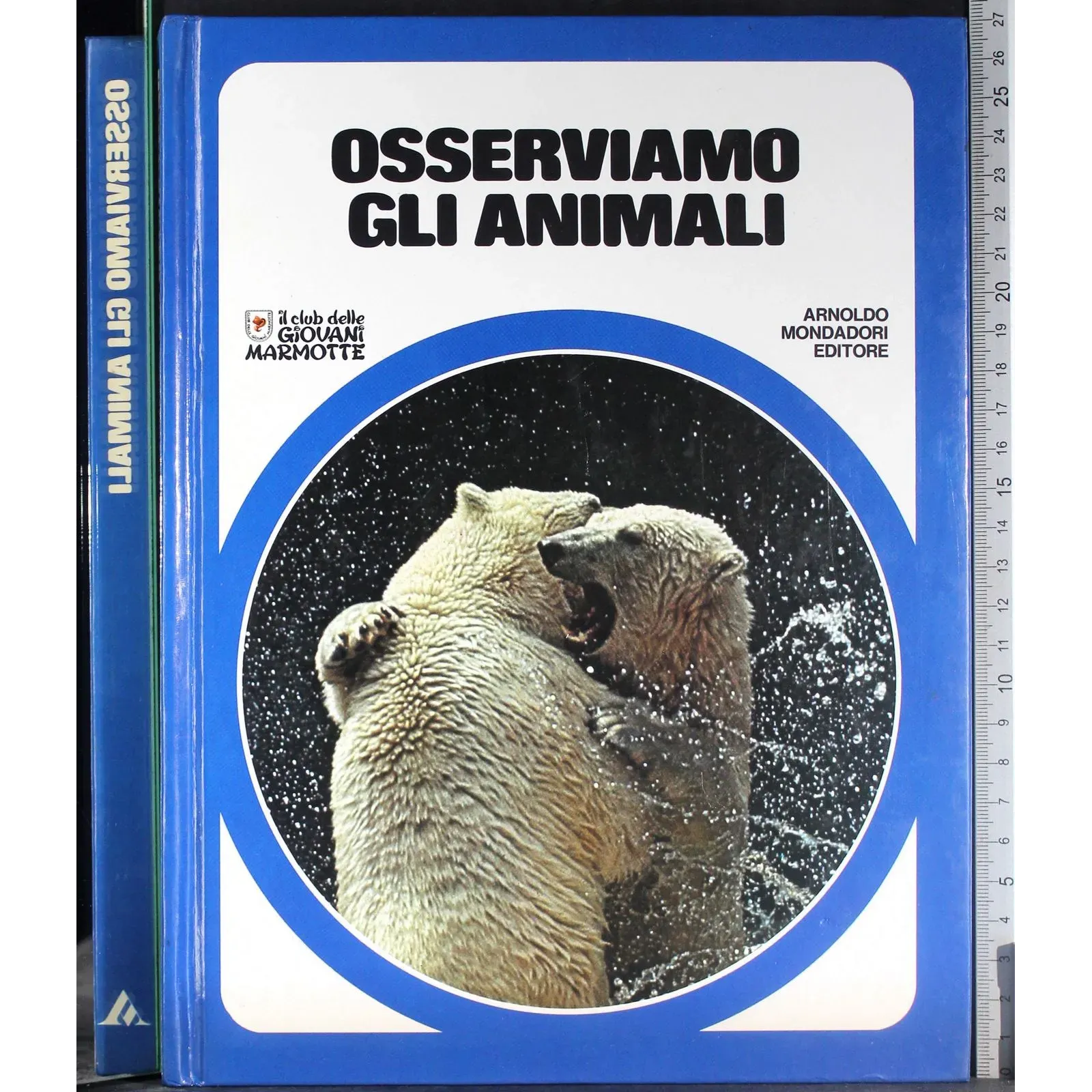 Osserviamo gli animali