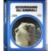 Osserviamo gli animali