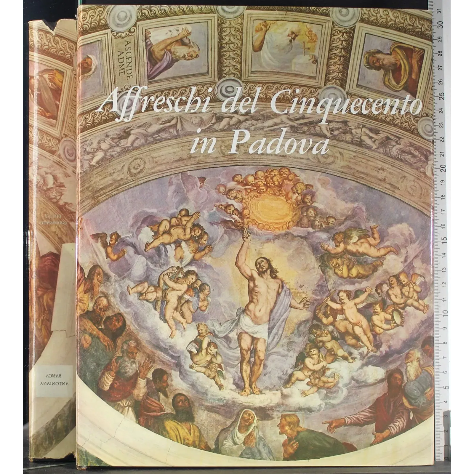 Affreschi del Cinquecento in Padova