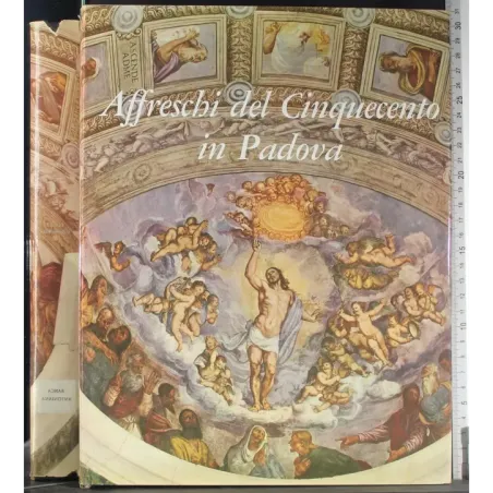 Affreschi del Cinquecento in Padova