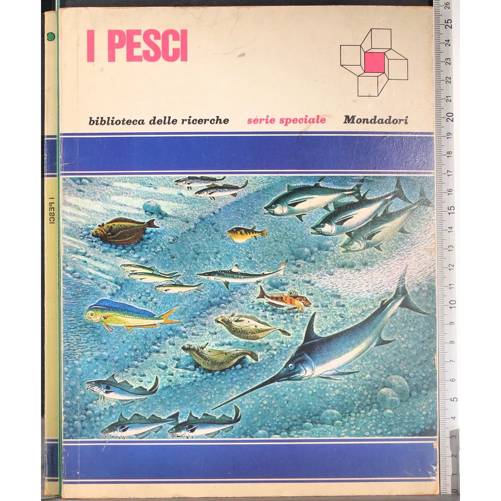 I pesci
