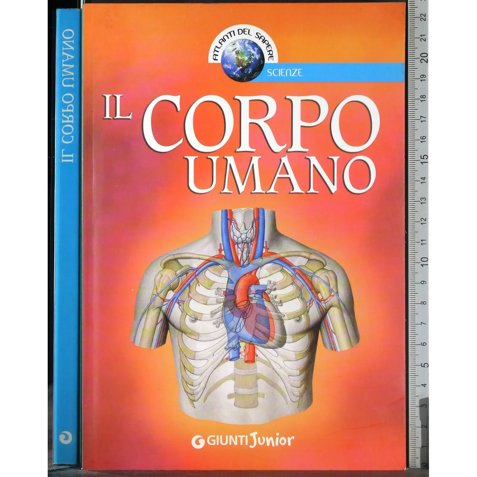 Il corpo umano