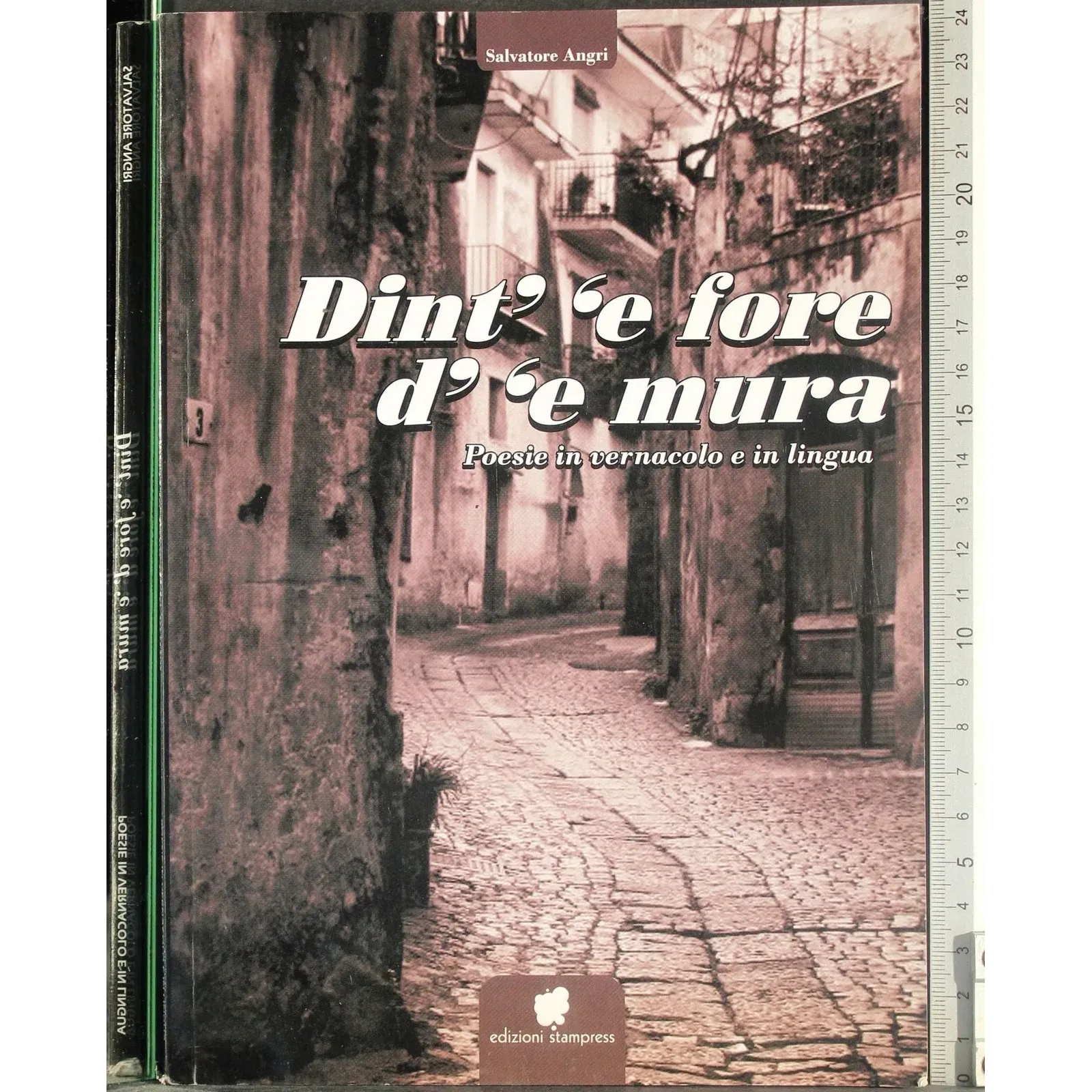 Dint' 'e fore d' 'e mura. Poesie in vernacolo e in lingua