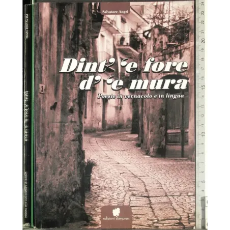Dint' 'e fore d' 'e mura. Poesie in vernacolo e in lingua