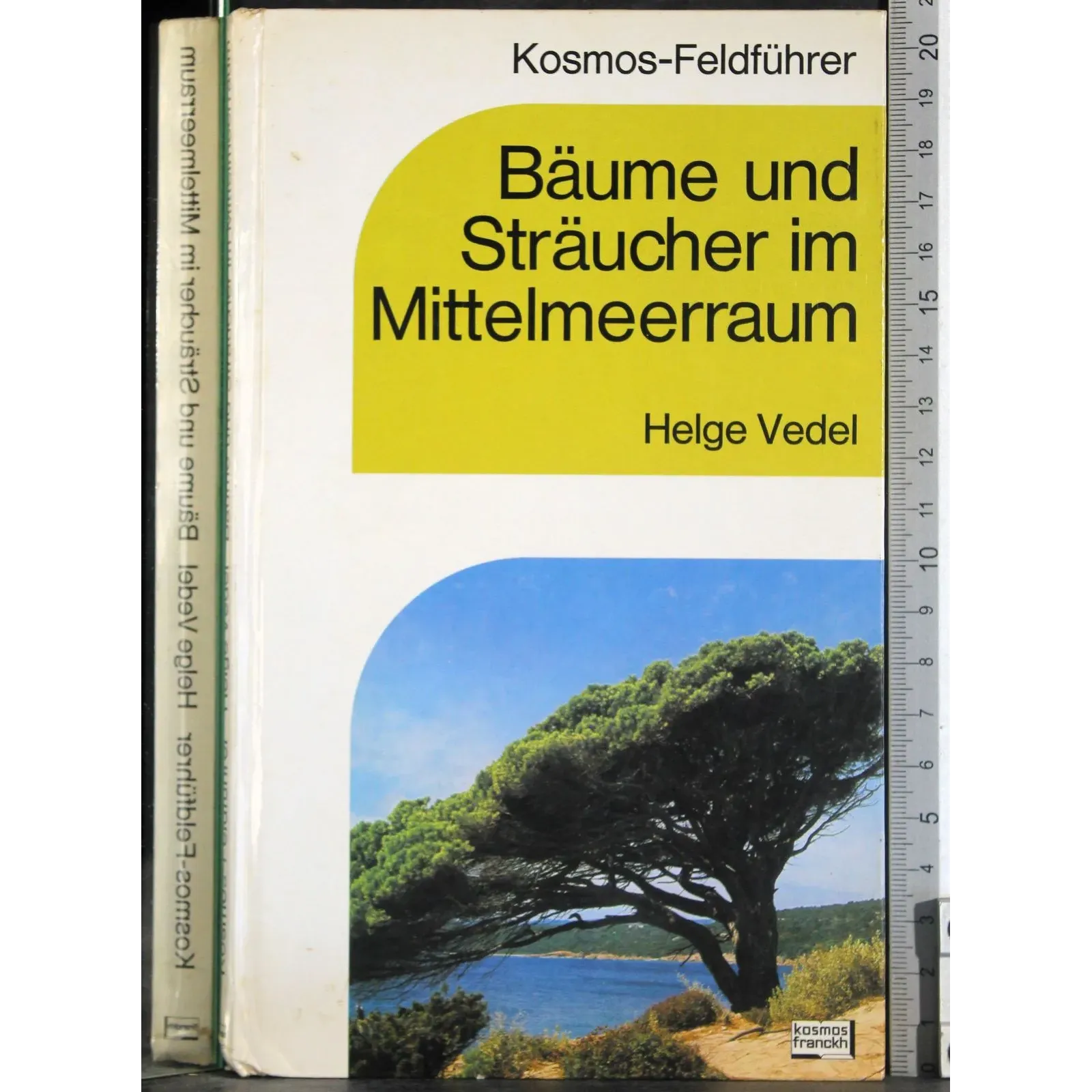 Baume und Straucher im Mittelmeerraum