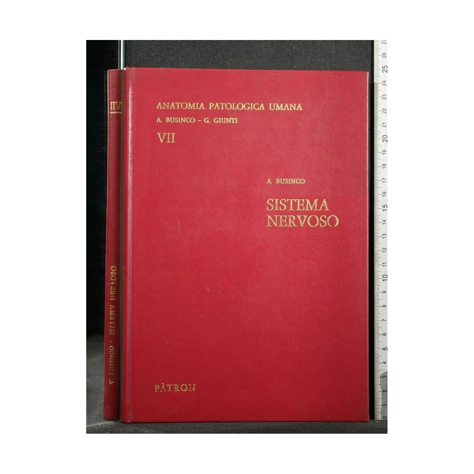 SISTEMA NERVOSO VOLUME 7 ANATOMIA PATOLOGICA UMANA