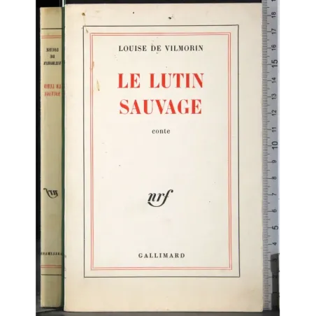 Le lutin Sauvage