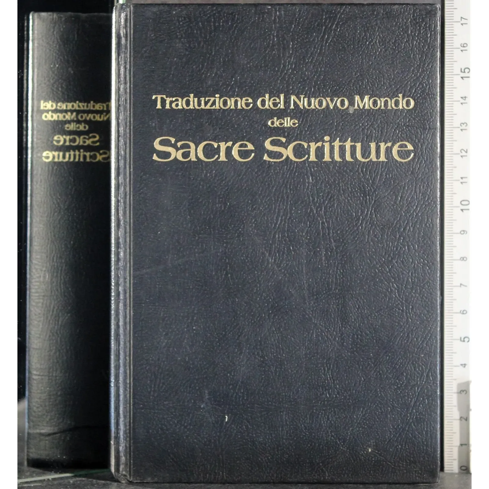 Traduzione del Nuovo Mondo delle Sacre Scritture