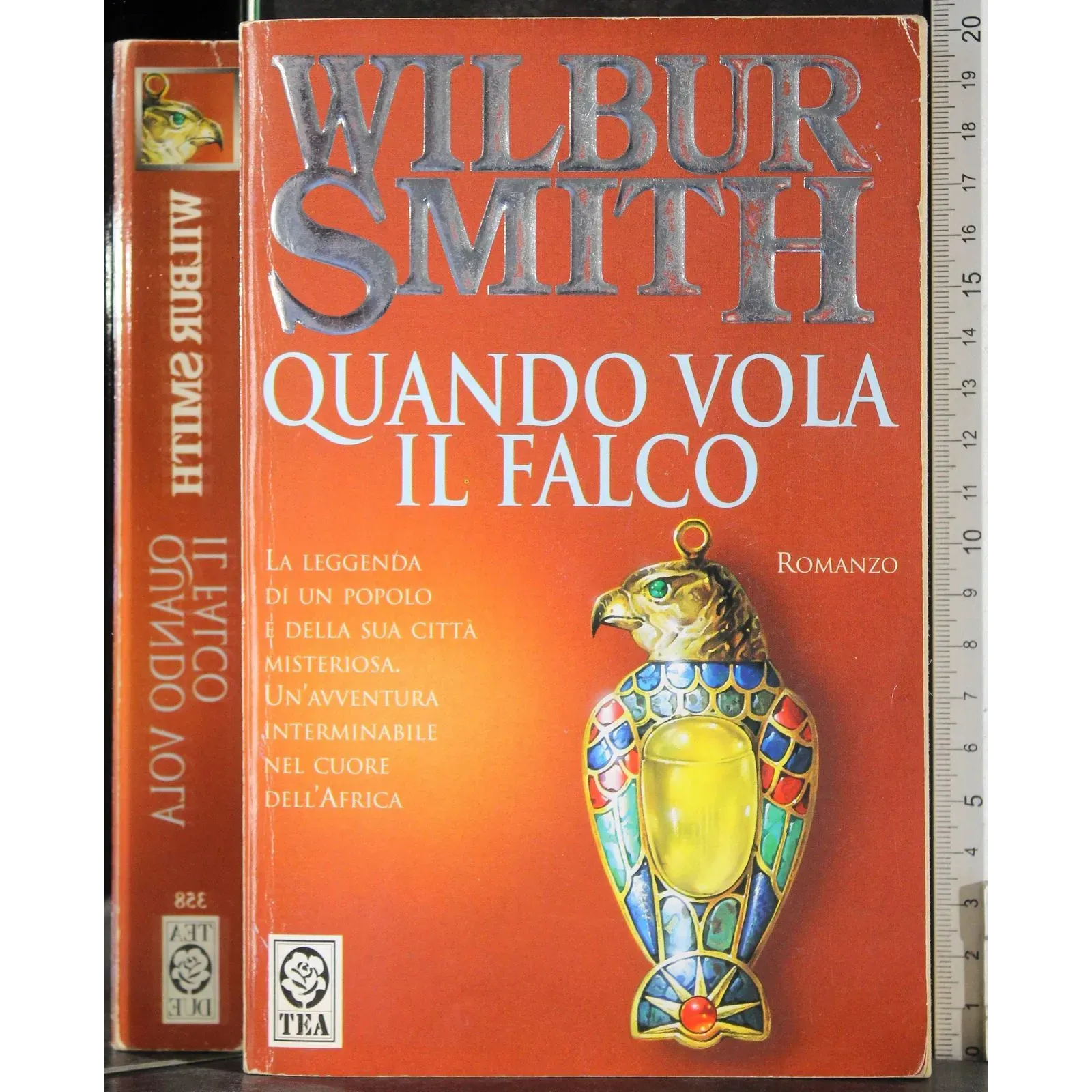 Quando vola il falco