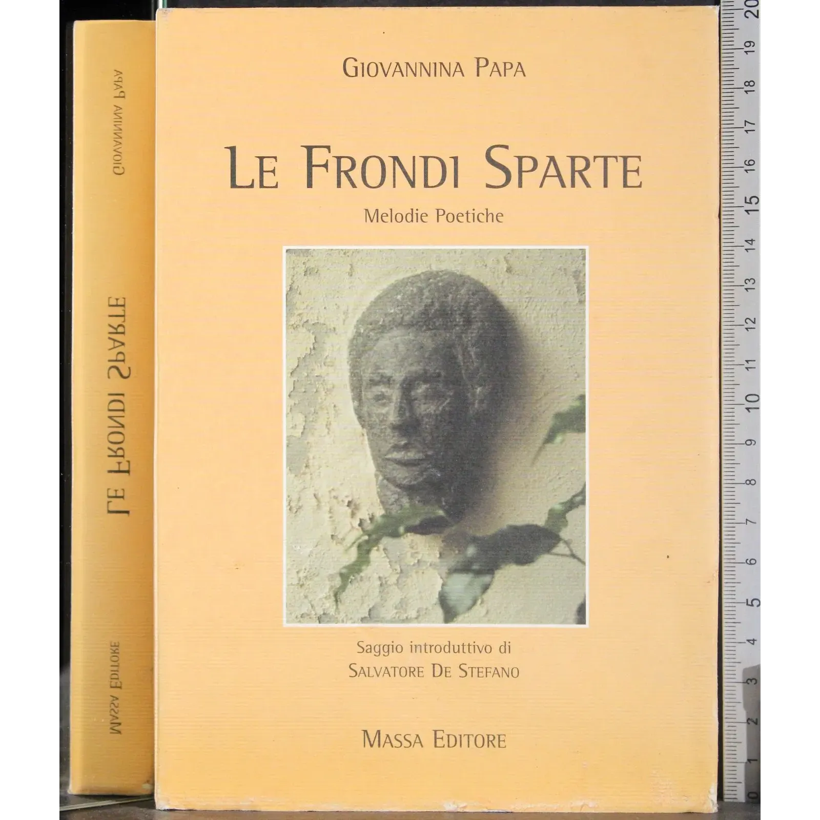 Le fronde sparte