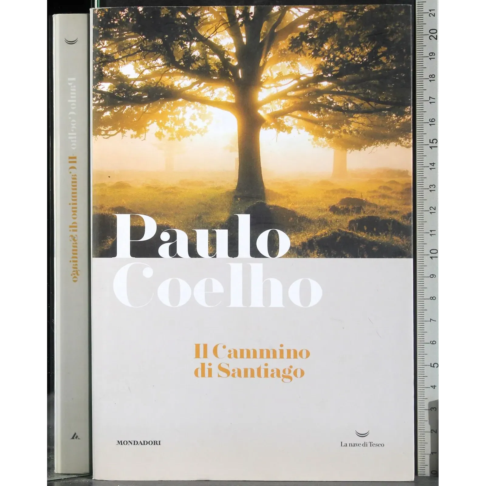 Il Cammino di Santiago