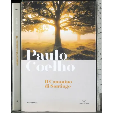 Il Cammino di Santiago