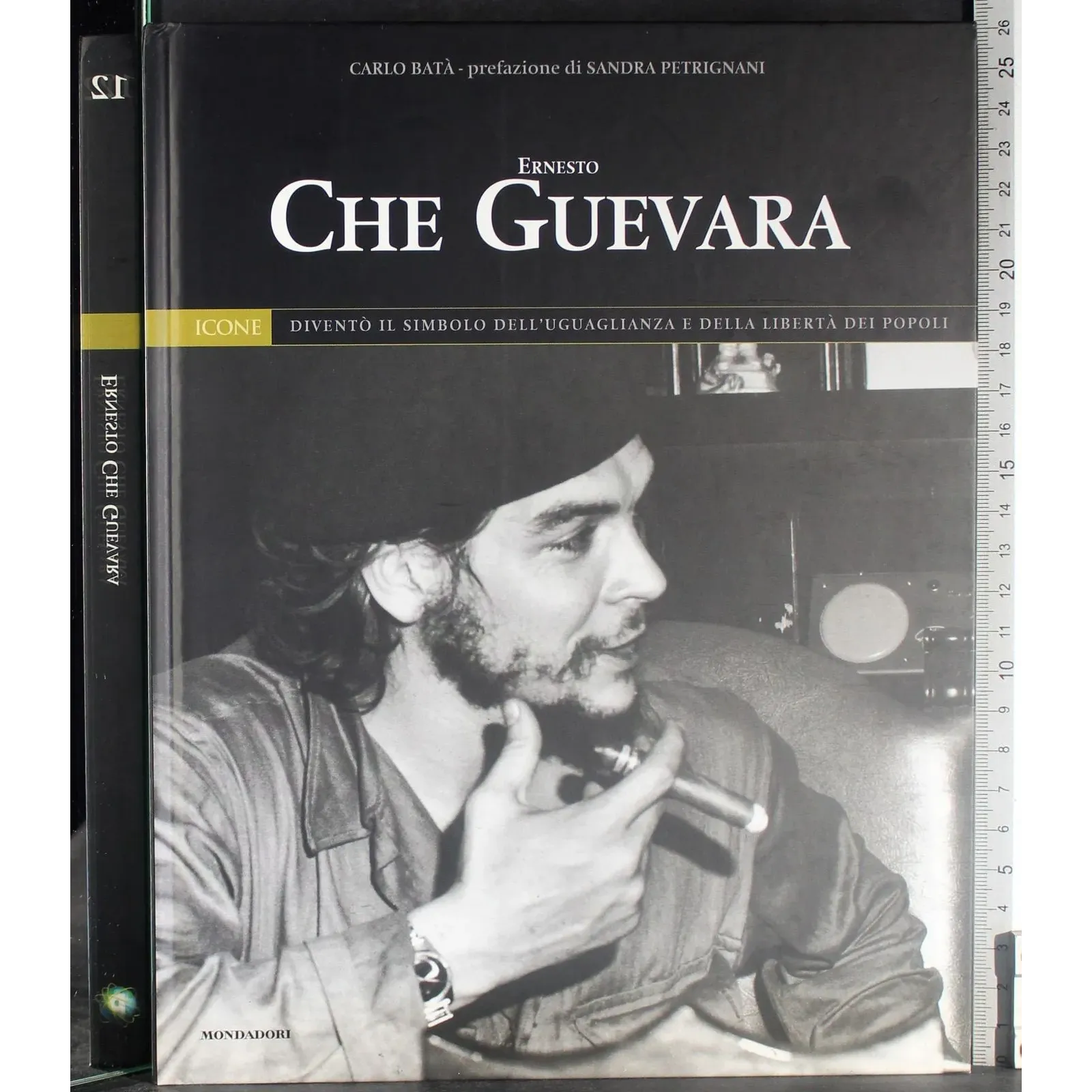 Icone 12. Ernesto Che Guevara