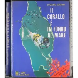 Il corallo è in fondo al mare