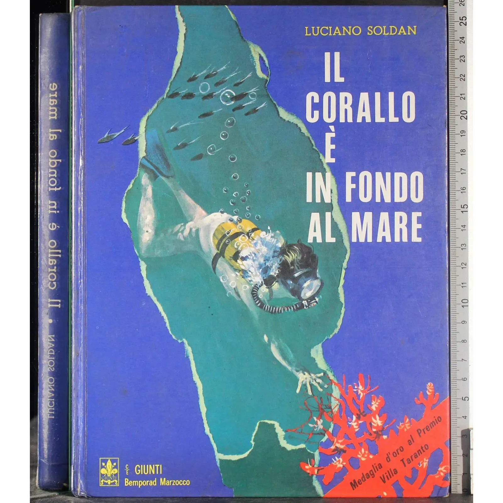 Il corallo è in fondo al mare