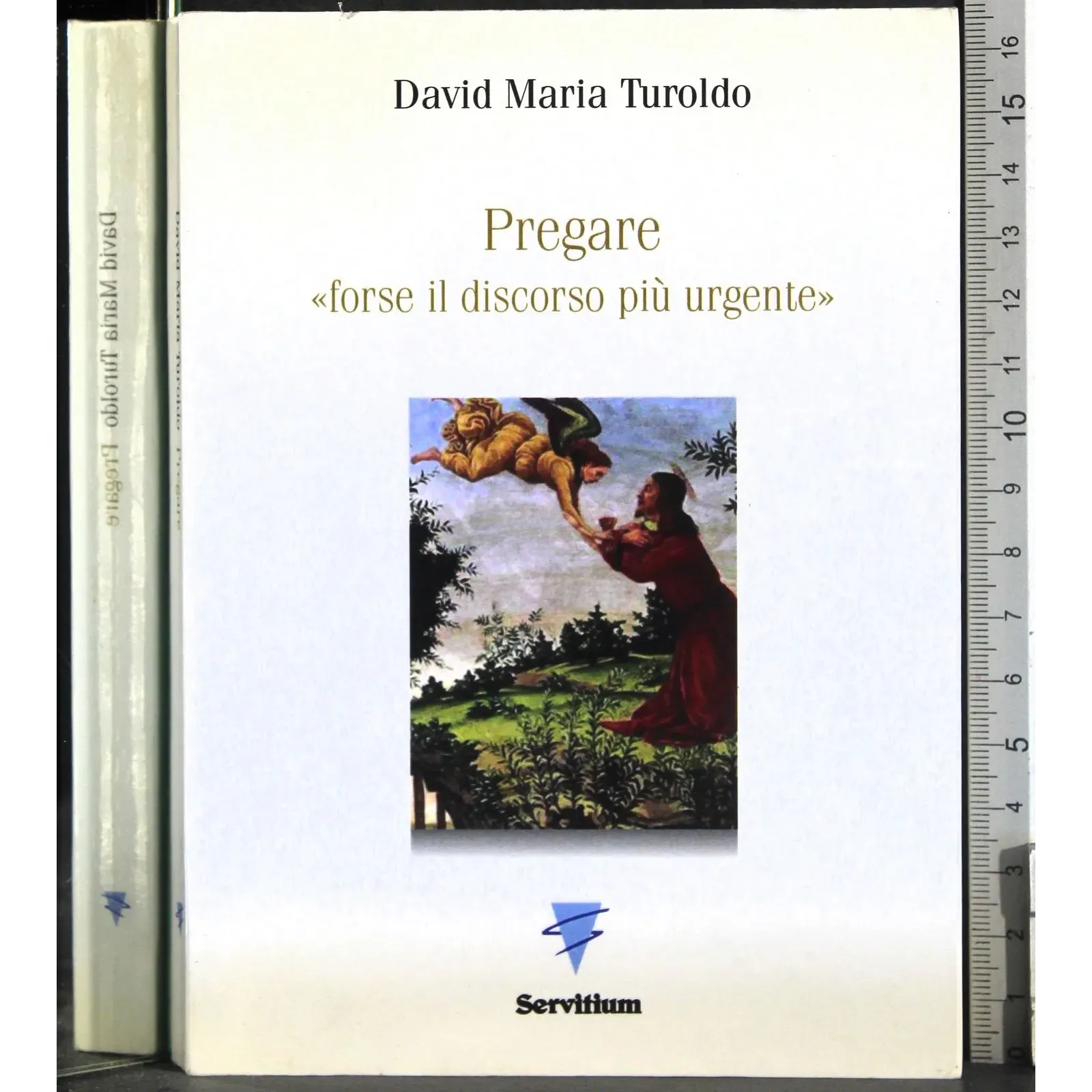 Pregare "forse il discorso più urgente"