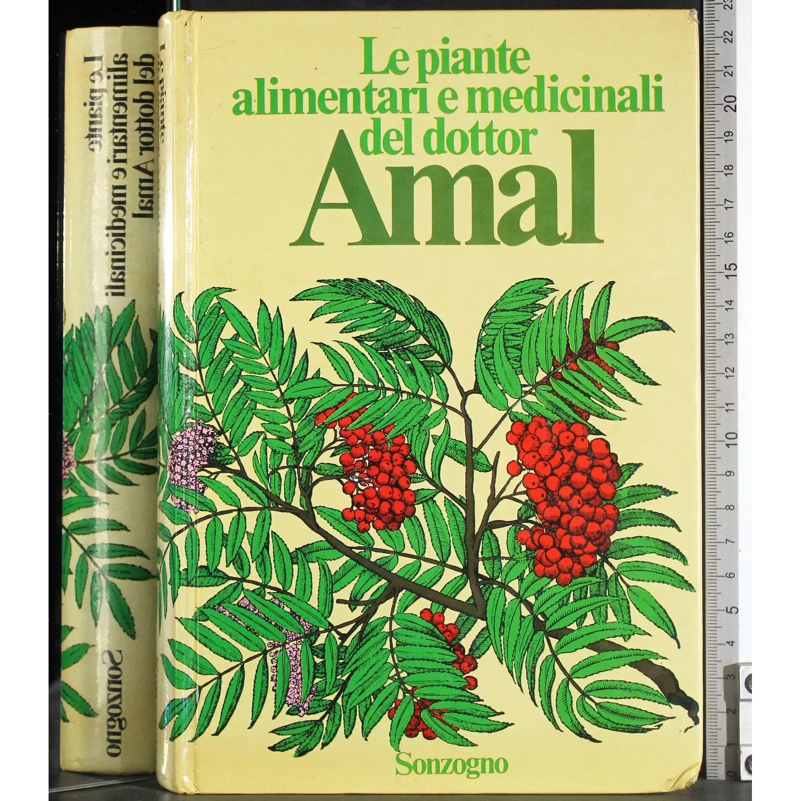Le piante alimentari e medicinali del dottor Amal