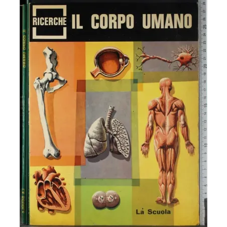 Il corpo umano