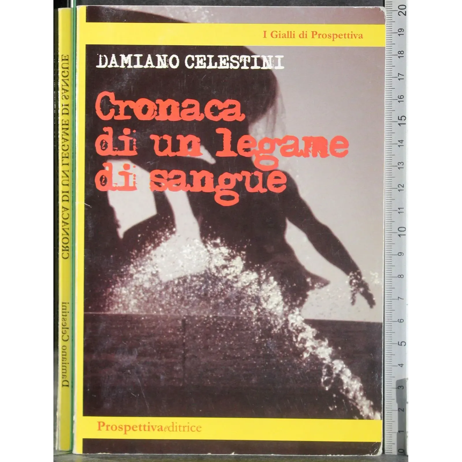 Cronaca di un legame di sangue