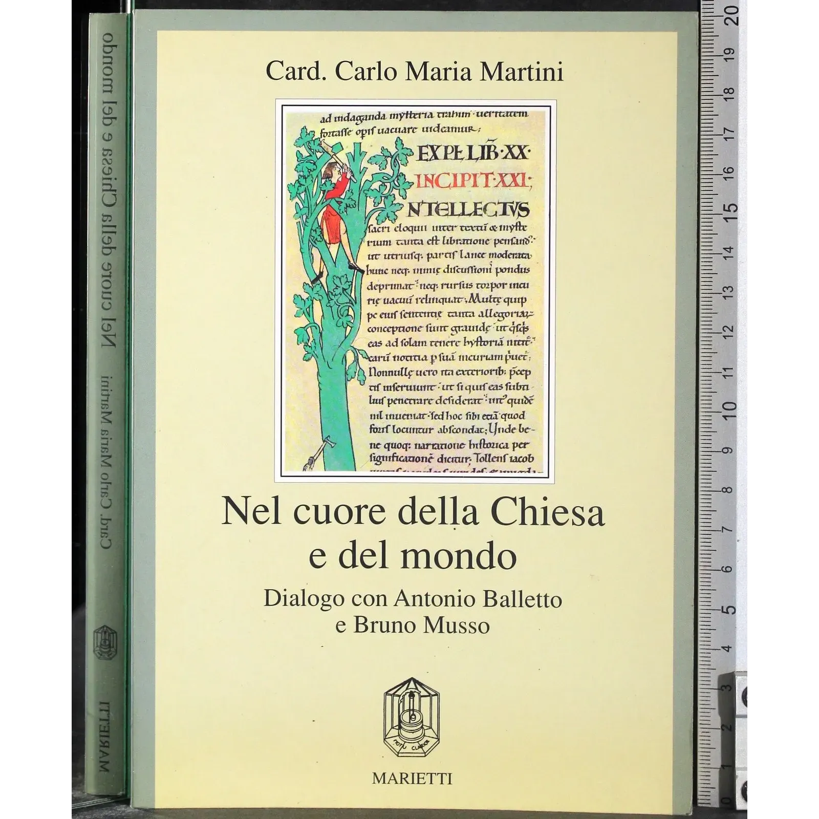 Nel cuore della Chiesa e del Mondo