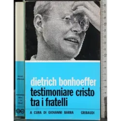 Testimoniare cristo tra i fratelli