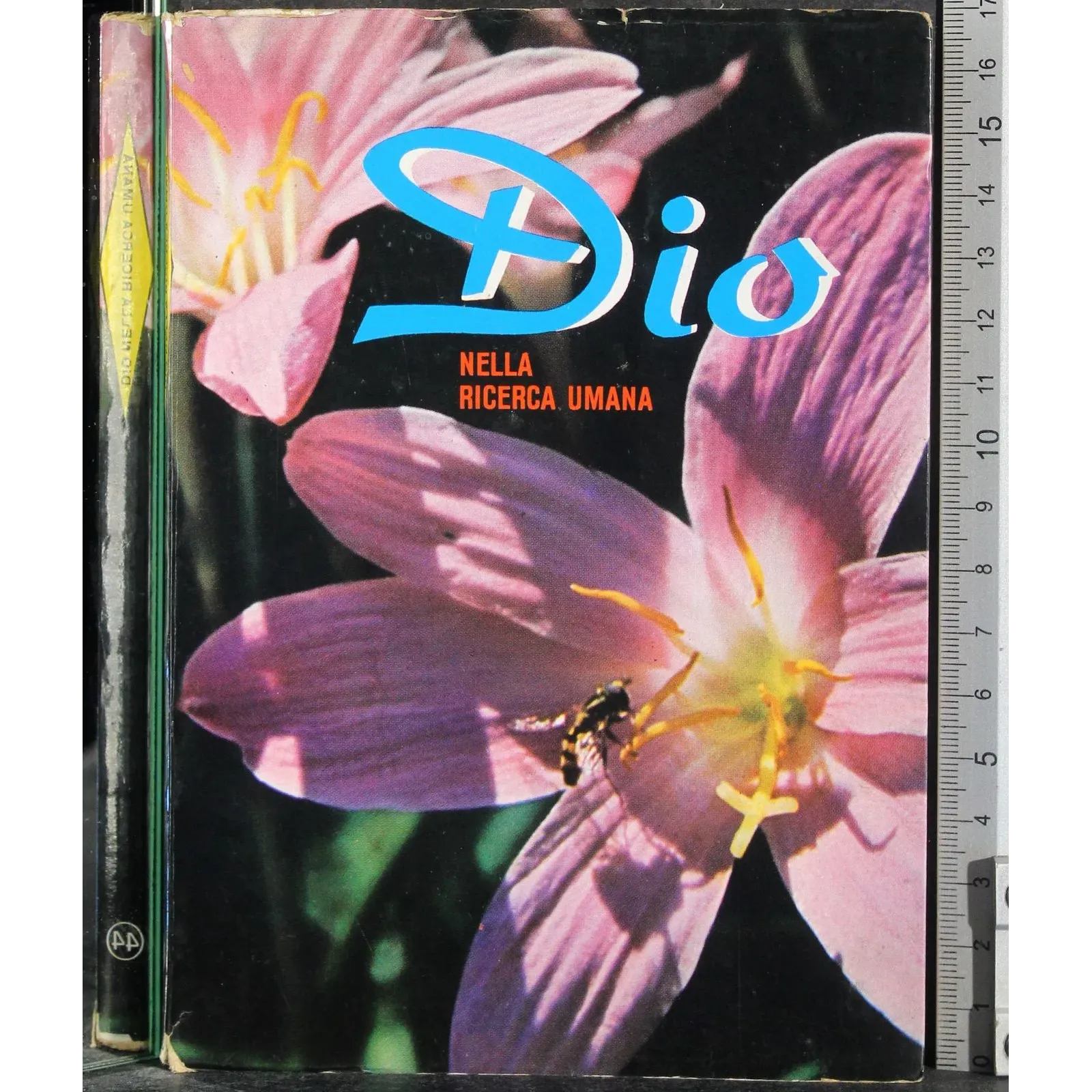 Dio nella ricerca umana