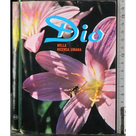 Dio nella ricerca umana