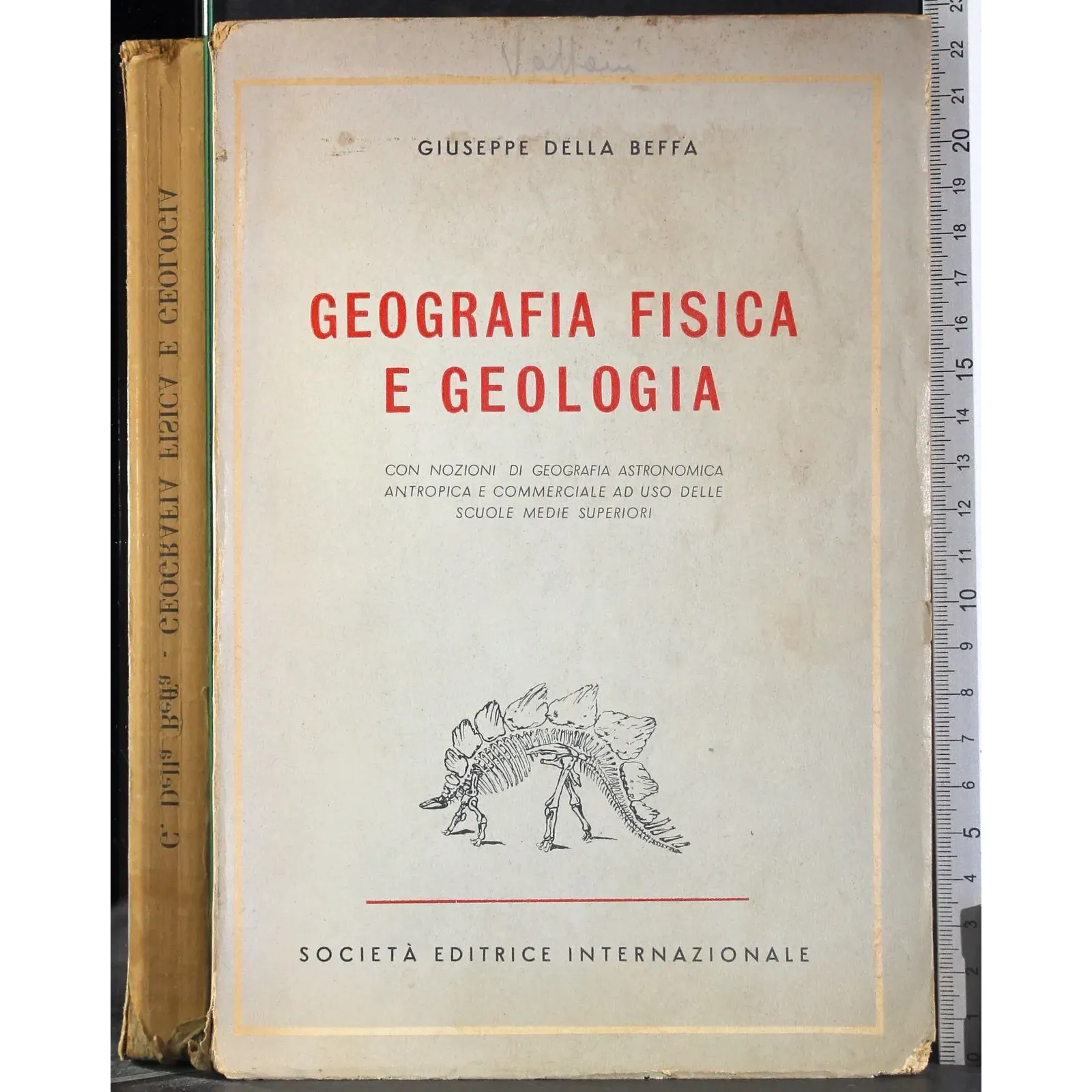 Geografia fisica e geologia