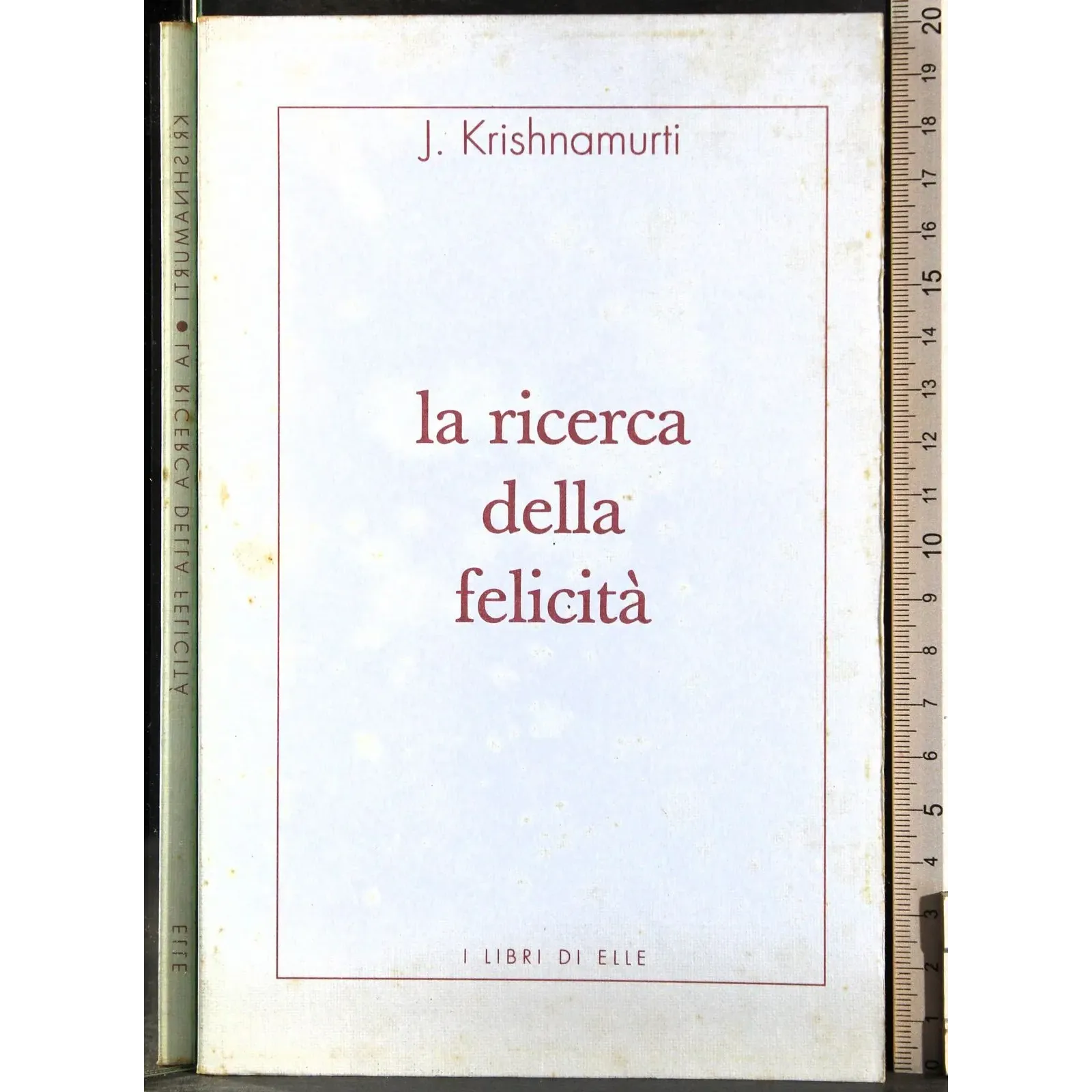 La ricerca della felicità
