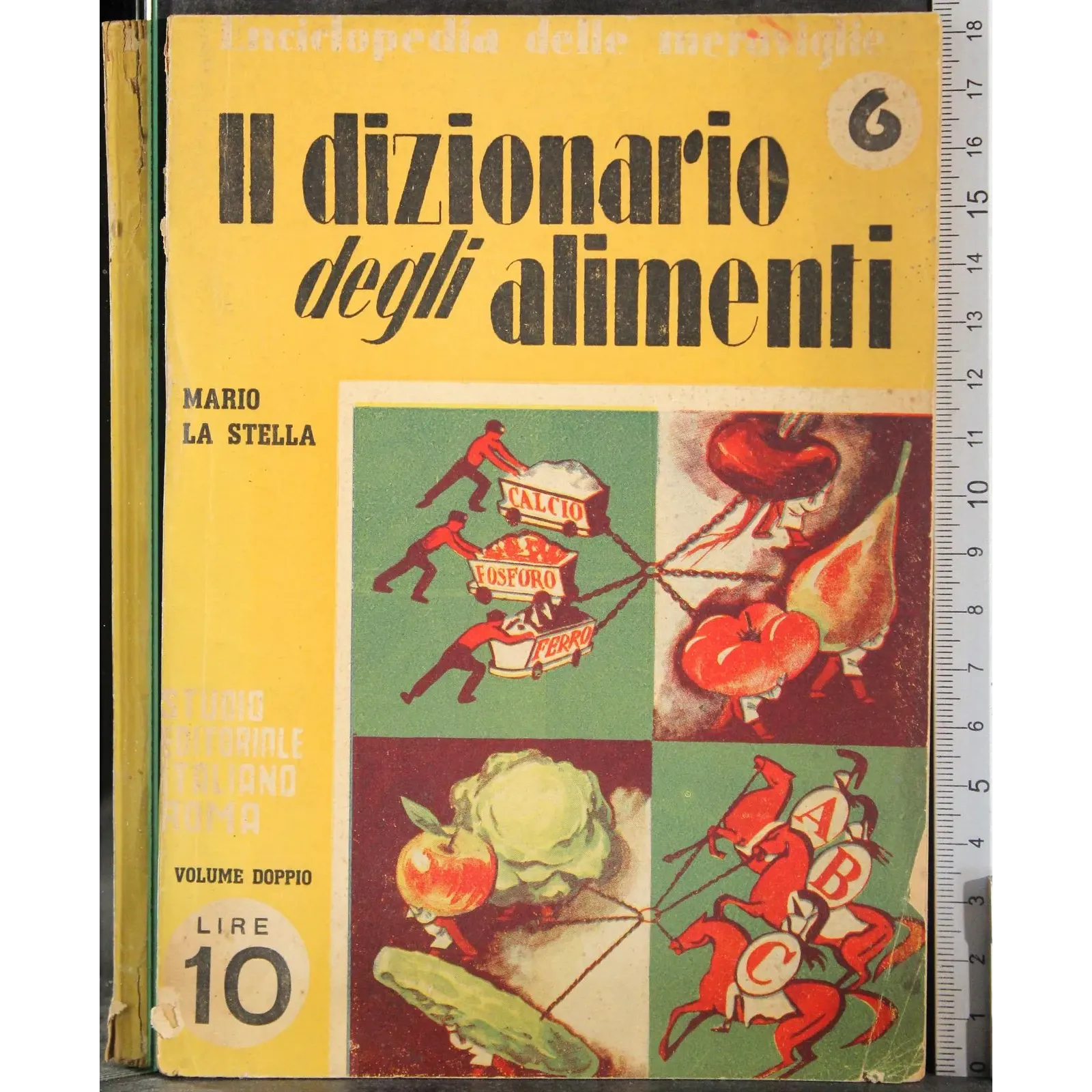 Il dizionario degli alimenti