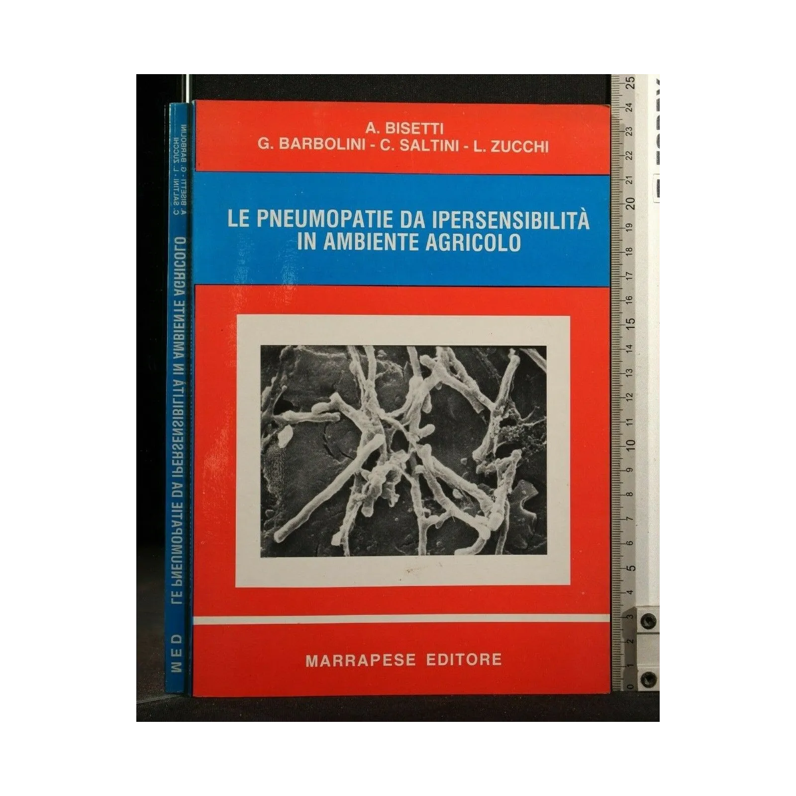 LE PNEUMOPATIE DA IPERSENSIBILITA' IN AMBIENTE AGRICOLO