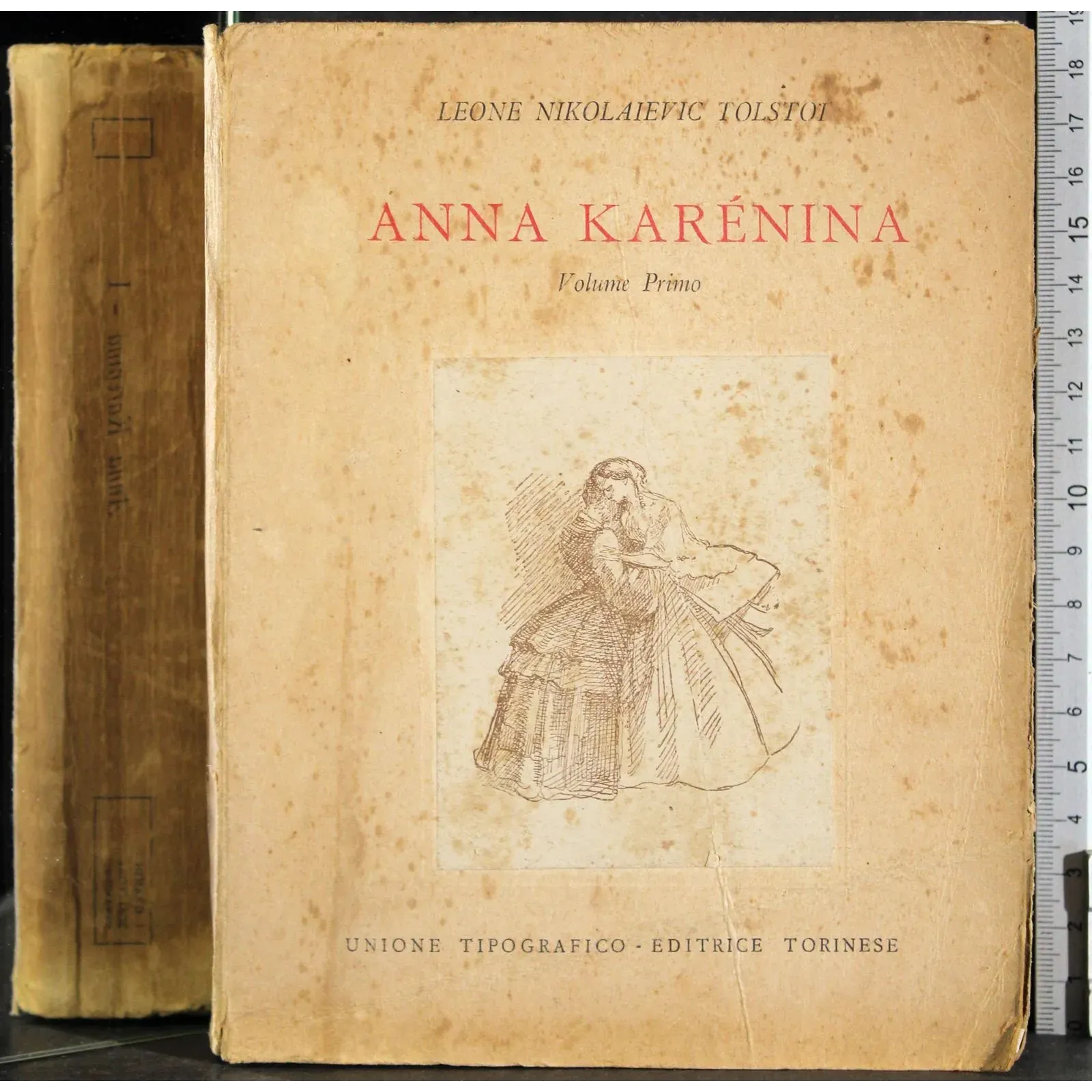 Anna Karenina. Vol 1