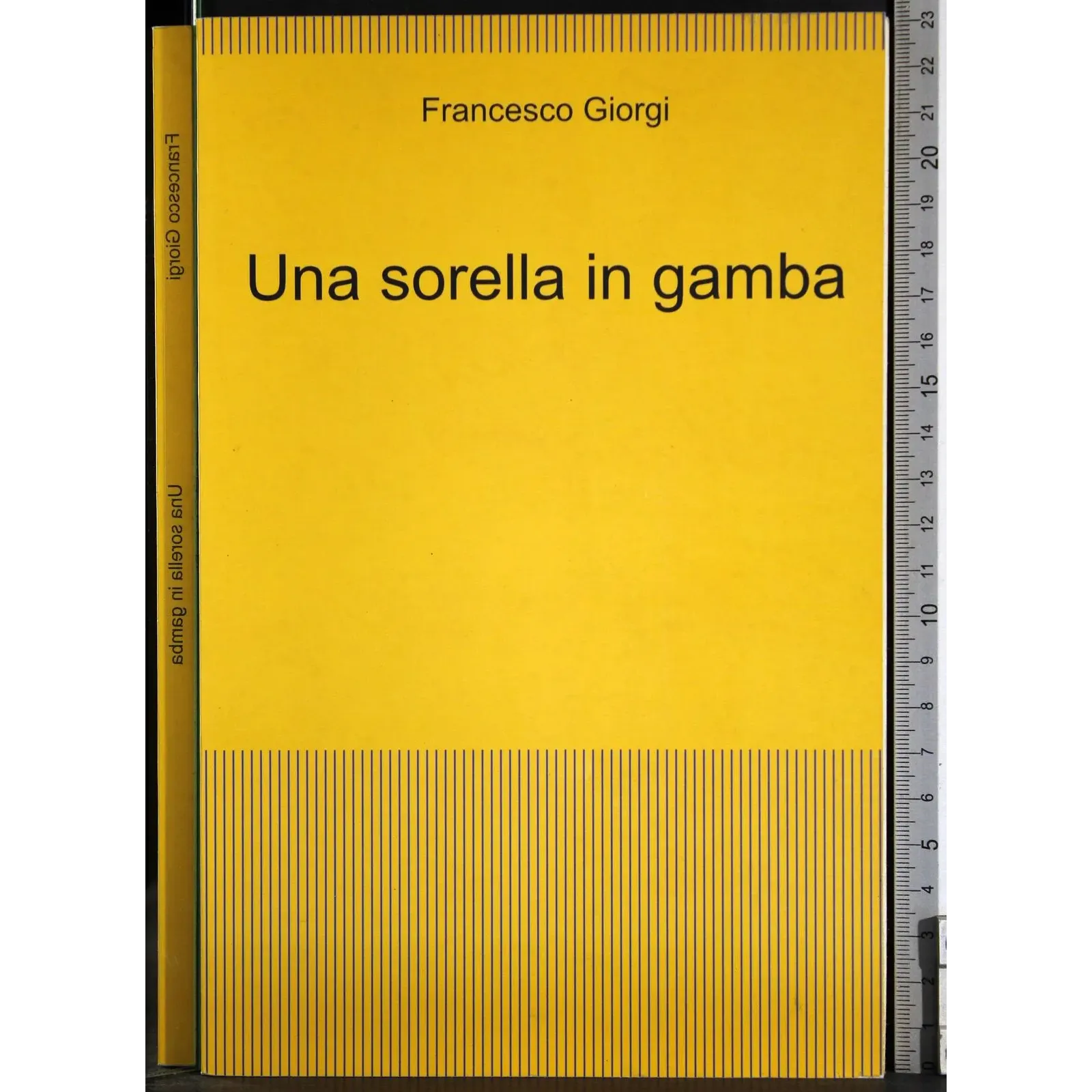 Una sorella in gamba