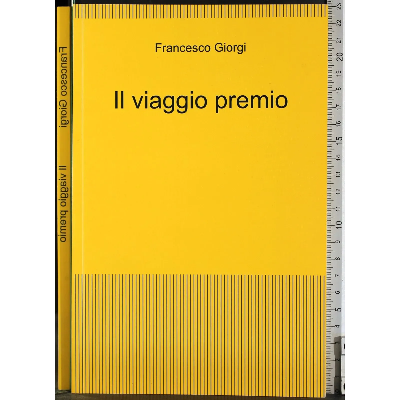 Il viaggio premio