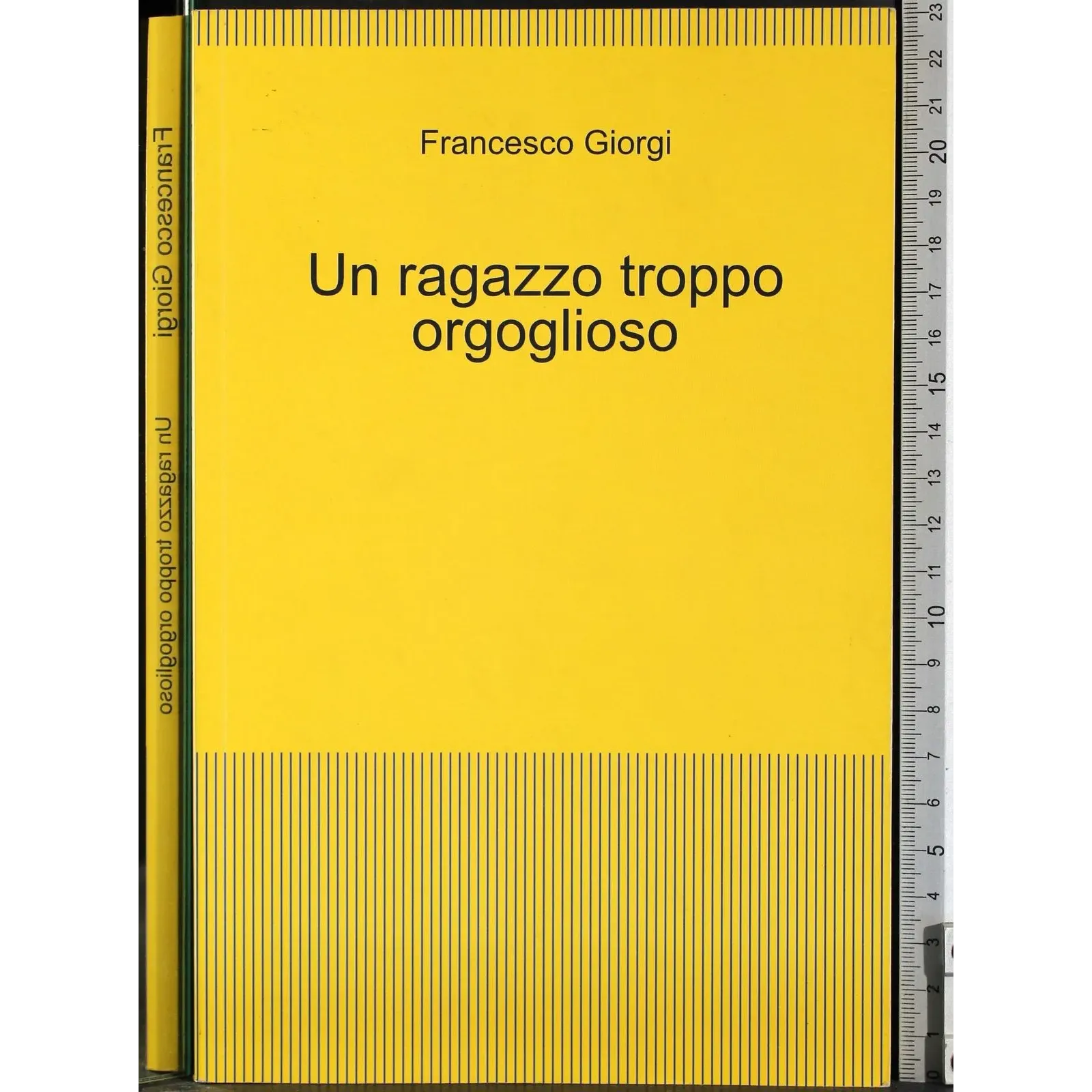 Un ragazzo troppo orgoglioso