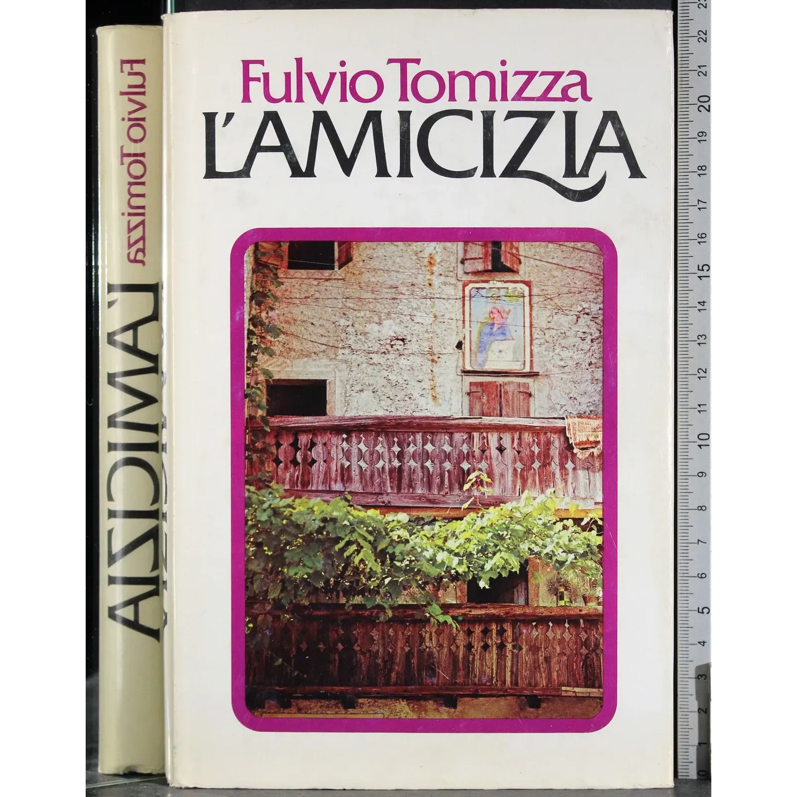L'amicizia