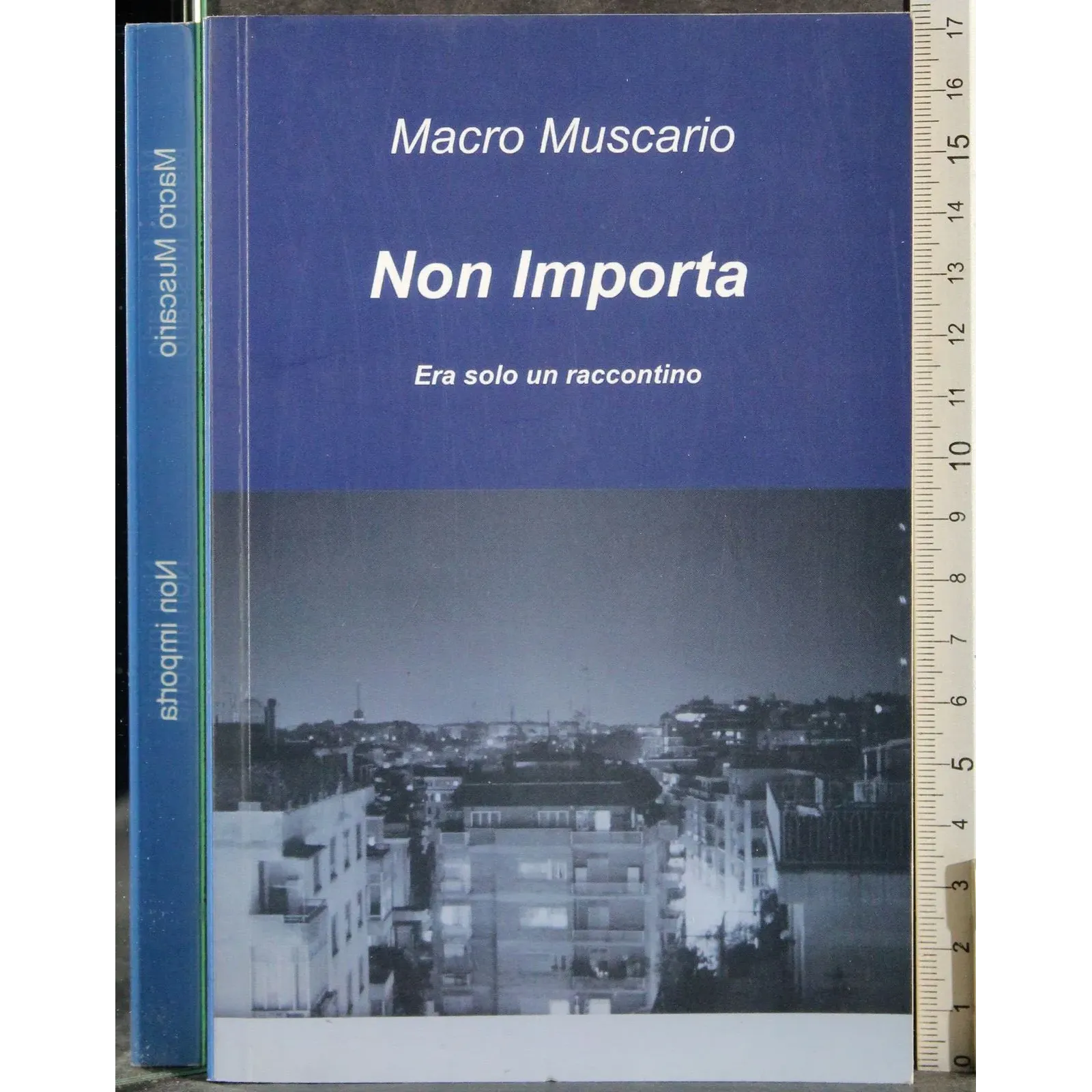 Non importa. Era solo un raccontino