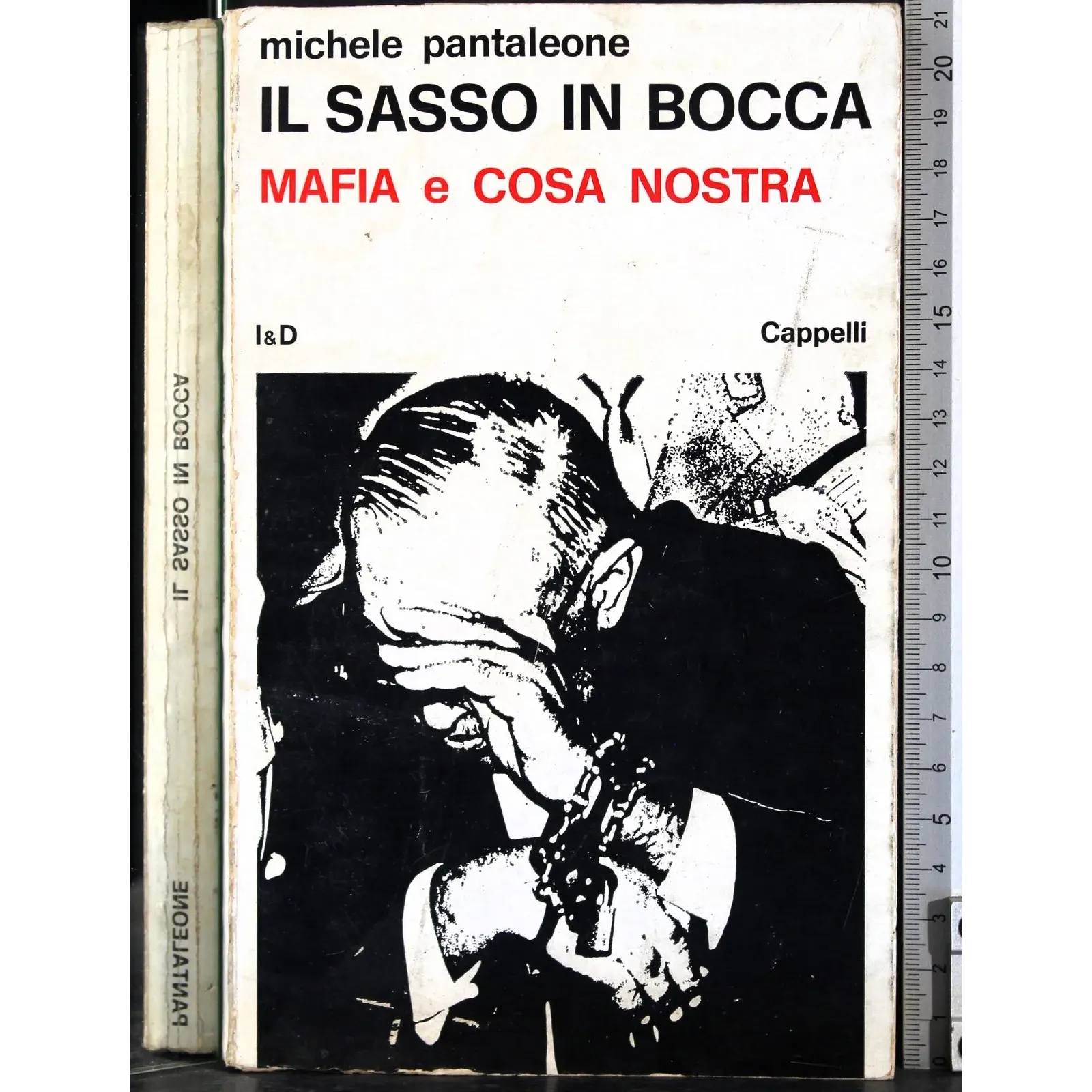 Il sasso in bocca. Mafia e Cosa Nostra