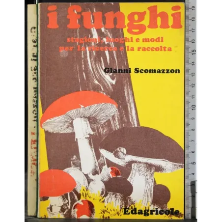 I funghi