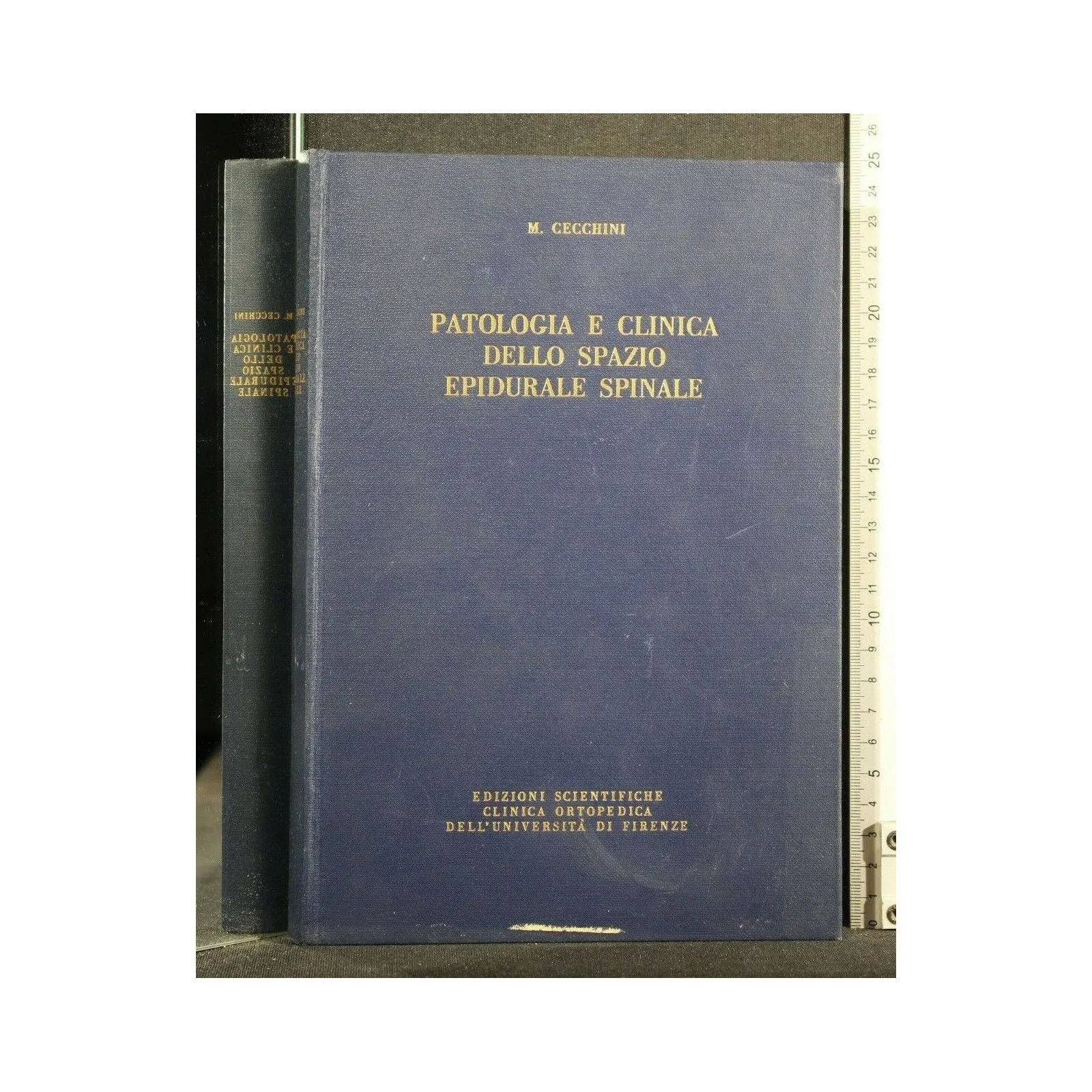 PATOLOGIA E CLINICA DELLO SPAZIO EPIDURALE SPINALE