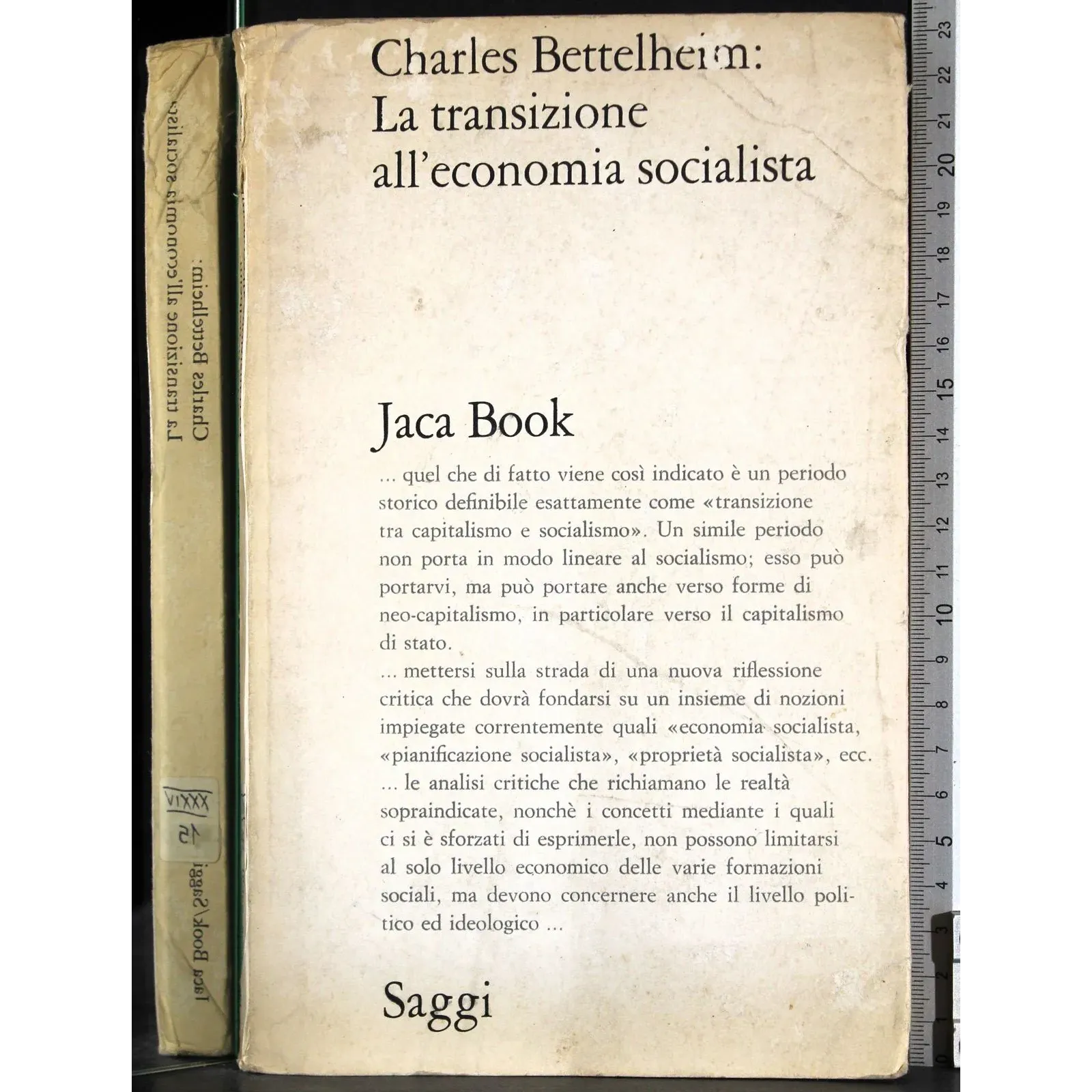 La transizione all'economia socialista