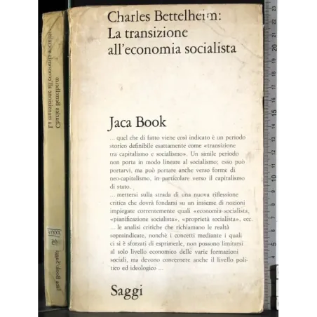 La transizione all'economia socialista