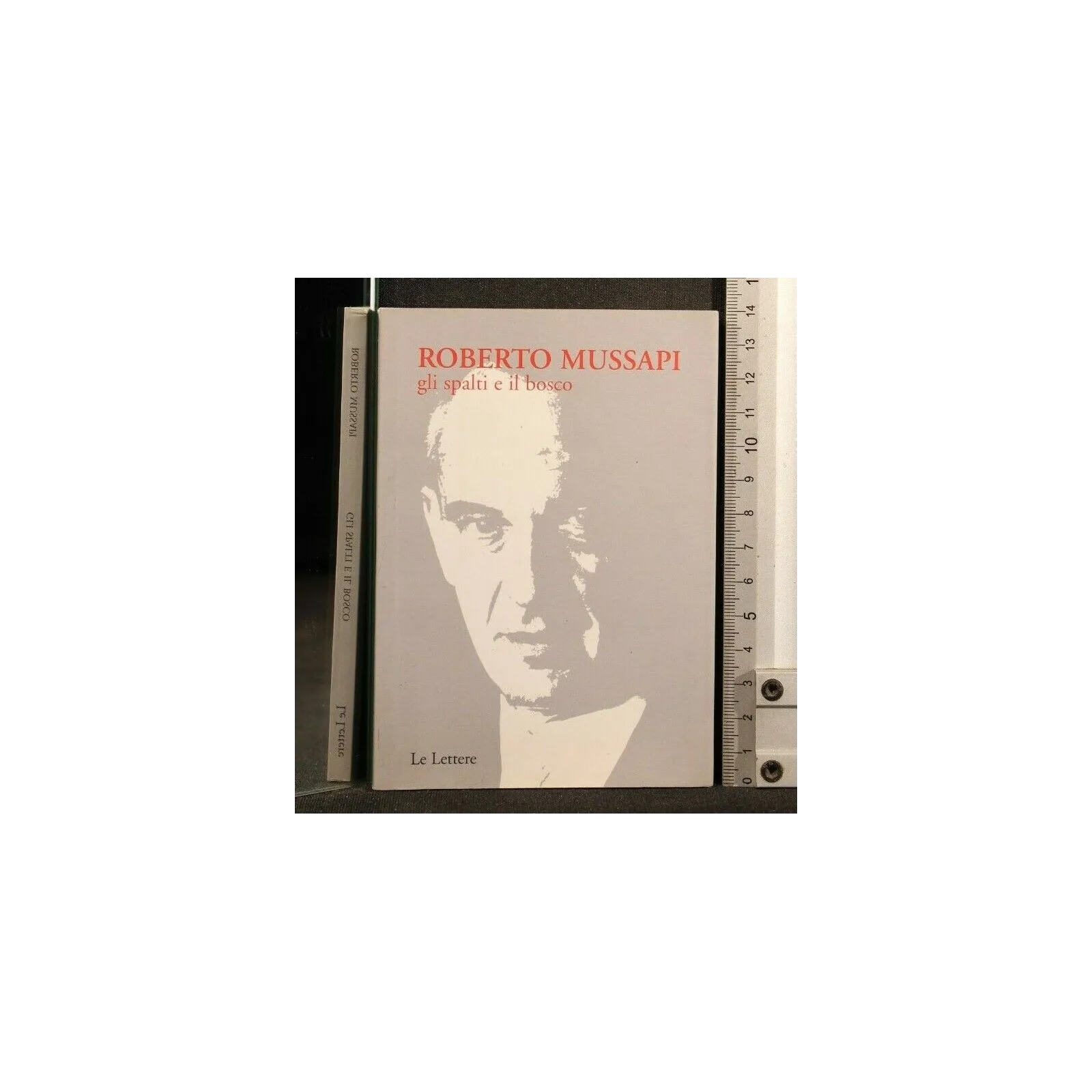 GLI SPALTI E IL BOSCO