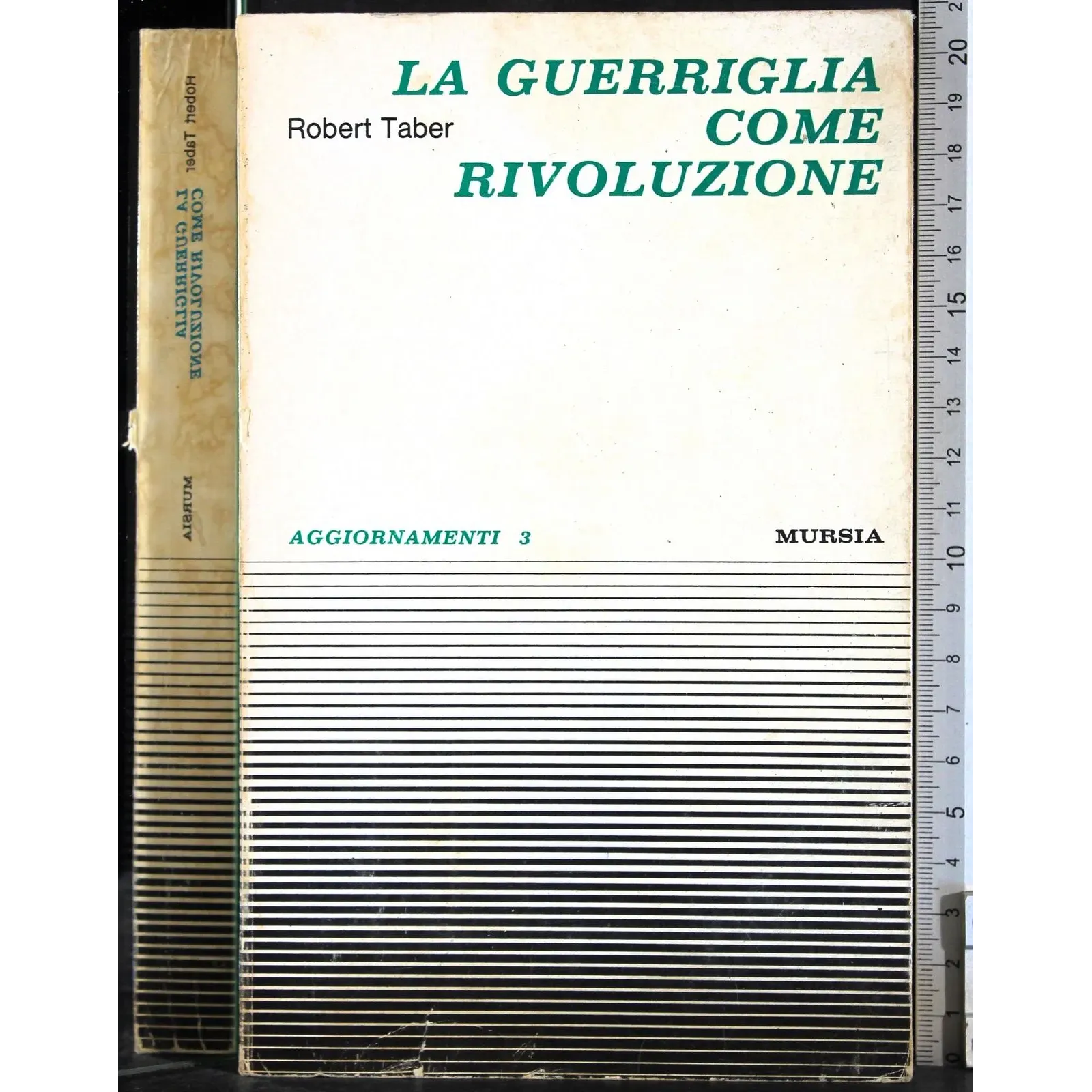 La guerriglia come rivoluzione