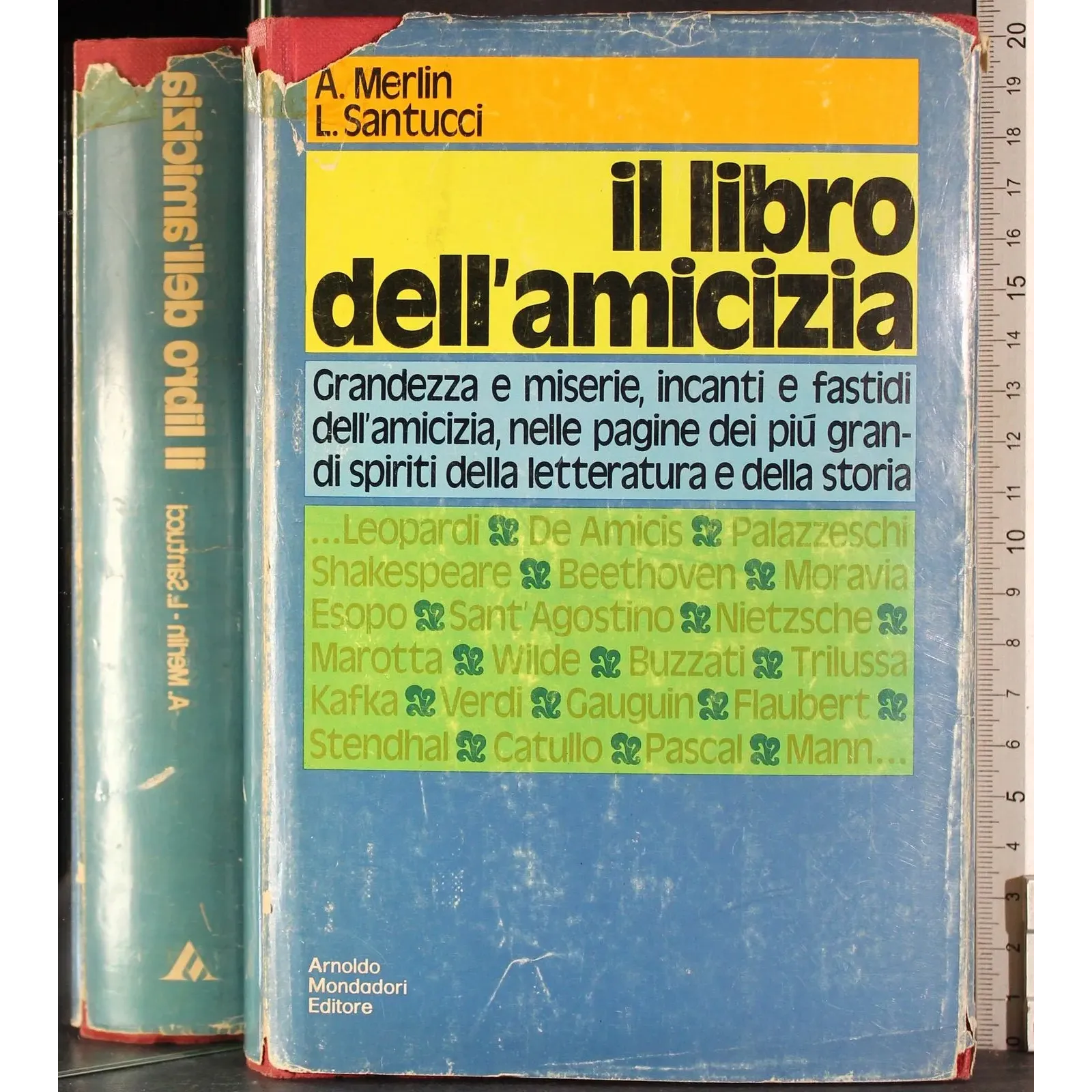 Il libro dell'amicizia