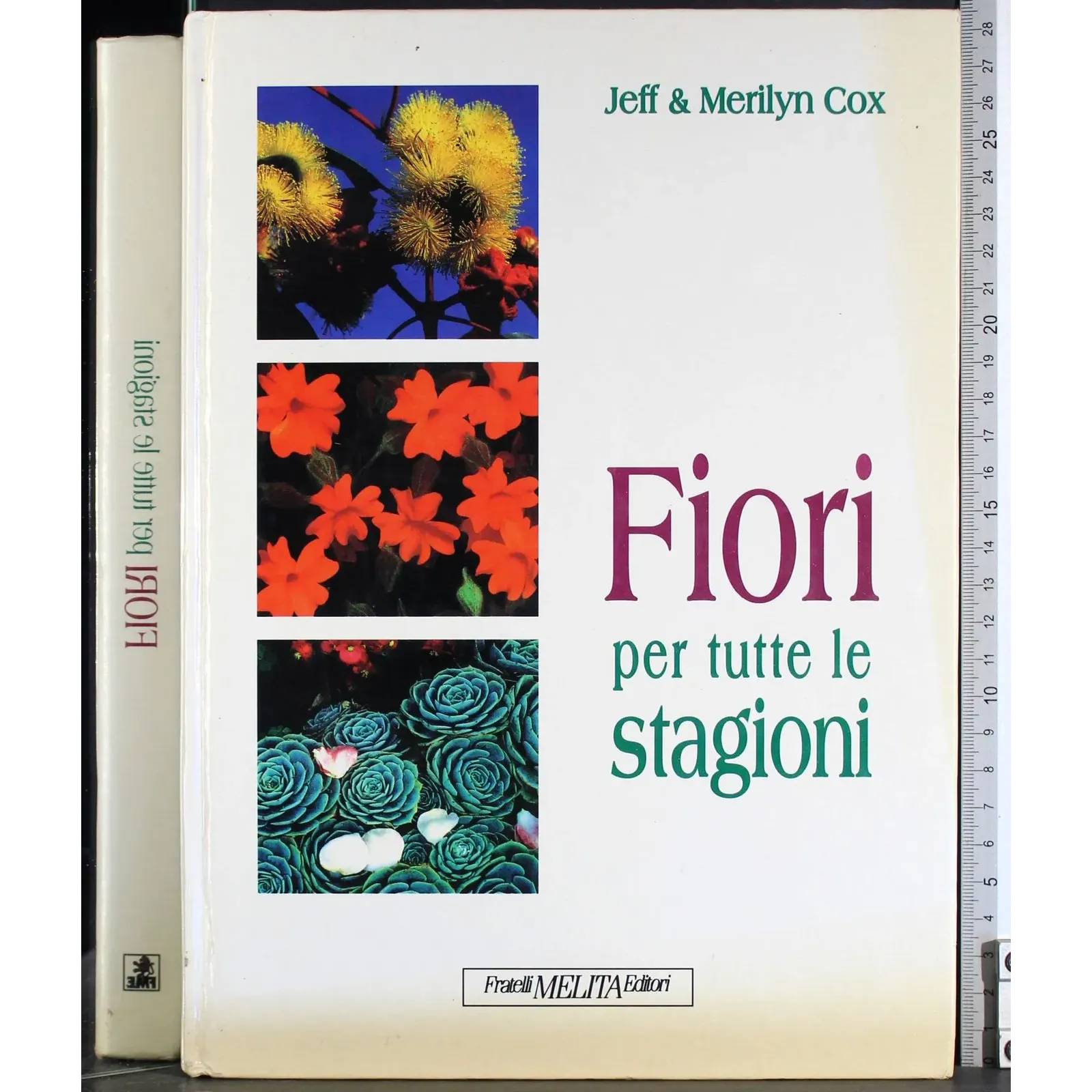 Fiori per tutte le stagioni